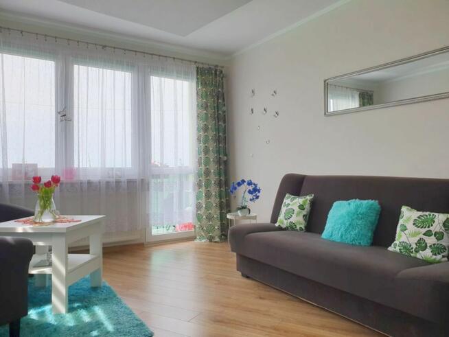 Mieszkanie Miłkowice,