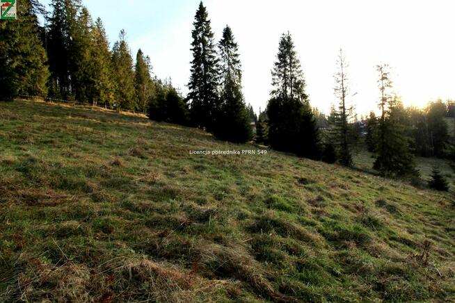 Działka o powierzchni 4290 m2