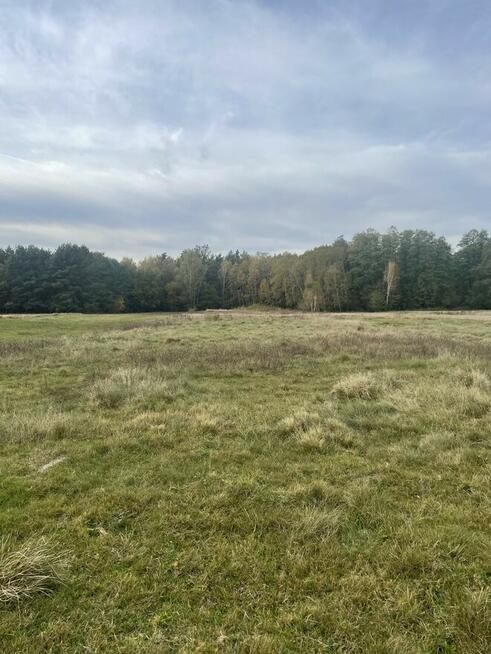 Działka Lubiszewice 11500 m