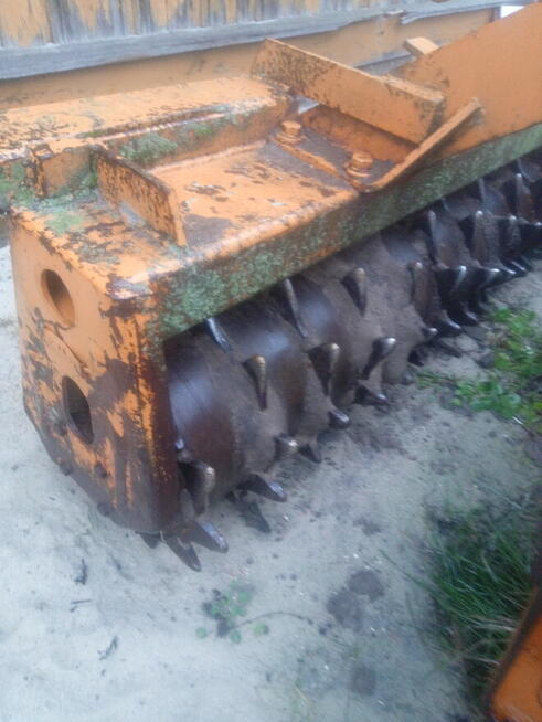 Brona aktywna Amazone