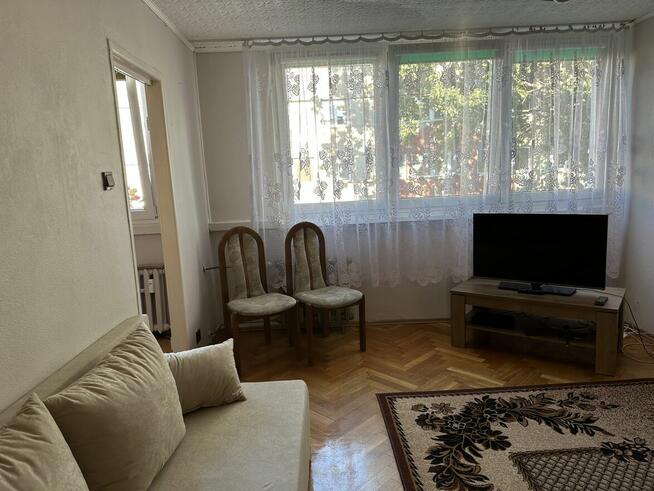 Mieszkanie do wynajęcia