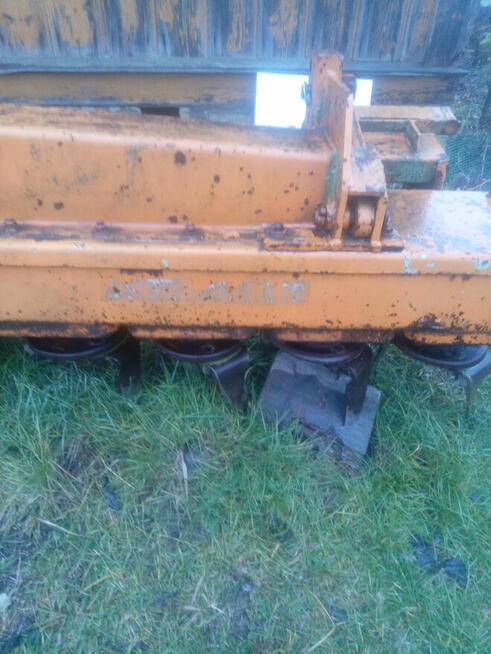 Brona aktywna Amazone