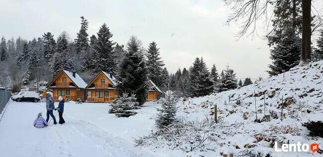 Domki do wynajęcia w Górach. Domki nad Jeziorem Czorsztyn