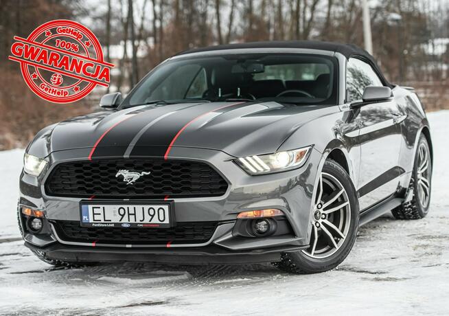 Ford Mustang Lift ! Cabrio 2.3i 317KM Super Stan ! Zarejestrowany !