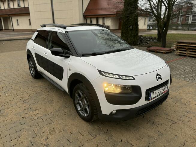 Citroen C4 Cactus Panorama - bogate wyposażenie