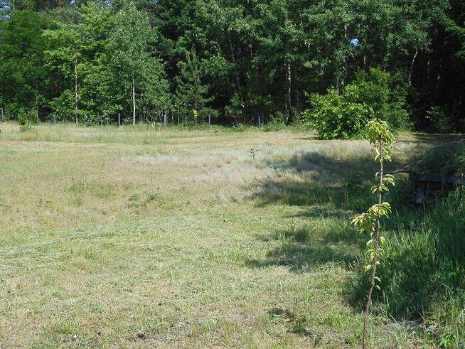 Działka budowlana - Tereszpol-Zaorenda, blisko Zwierzyńca