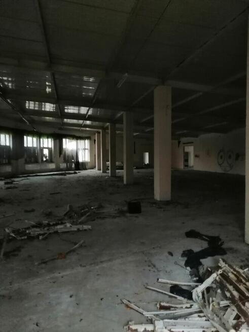 1/2 udziału w hali przemysłowej od Syndyka - Przewłoka