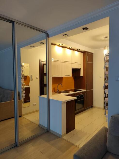 Mieszkanie do wynajęcia