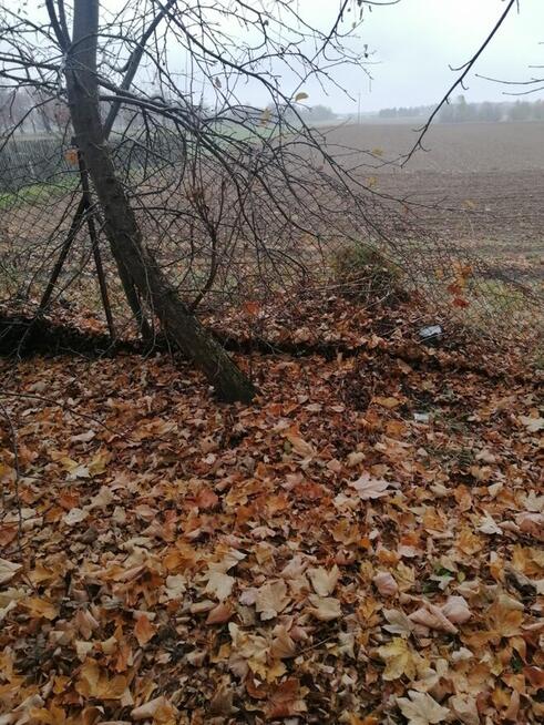 1/2 udziału w hali przemysłowej od Syndyka - Przewłoka