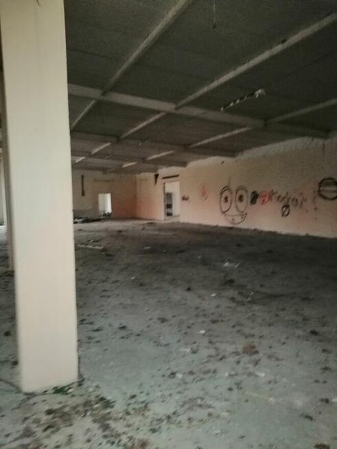 1/2 udziału w hali przemysłowej od Syndyka - Przewłoka