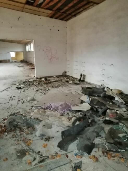 1/2 udziału w hali przemysłowej od Syndyka - Przewłoka