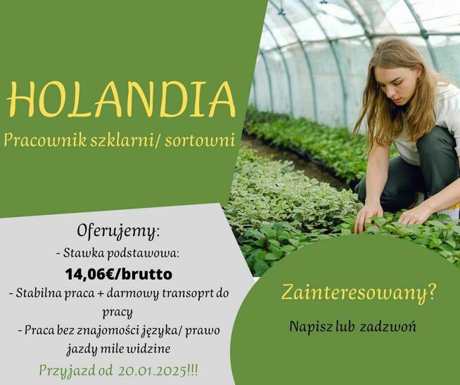 Praca w Holandii – Szklarnie, Sortownie i Chłodnie!