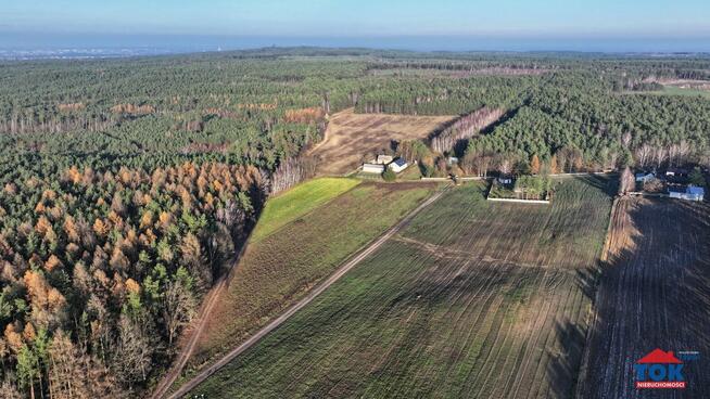 Działka gruntu, Teresina gm. Krzymów