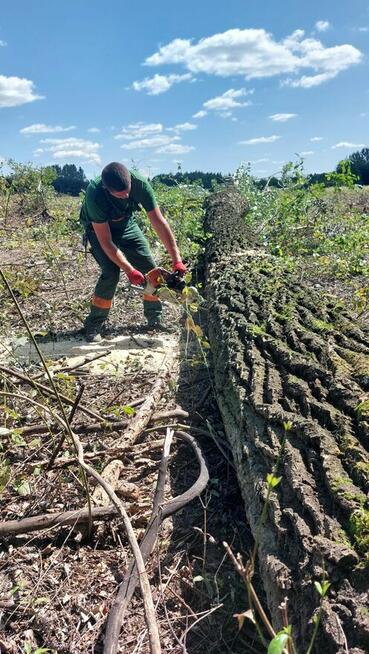 Wycinka drzew, wycinanie, rębakowanie, koszenie, czyszczenie