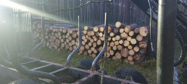 Wycinka drzew, wycinanie, rębakowanie, koszenie, czyszczenie