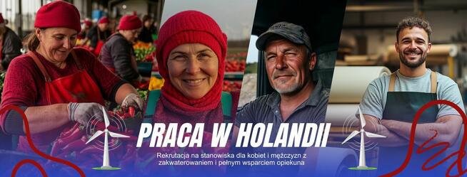 Praca w Holandii od zaraz, szklarnie z kwiatami i sortownie