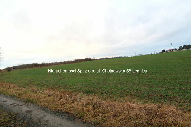 DZIAŁKA INWESTYCYJNA DLA DEWELOPERÓW 2,6Ha - GŁUCHOWICE