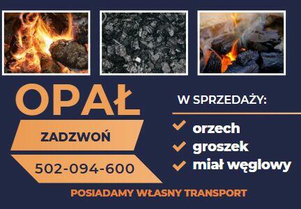 Węgiel orzech, groszek, miał węglowy TRANSPORT