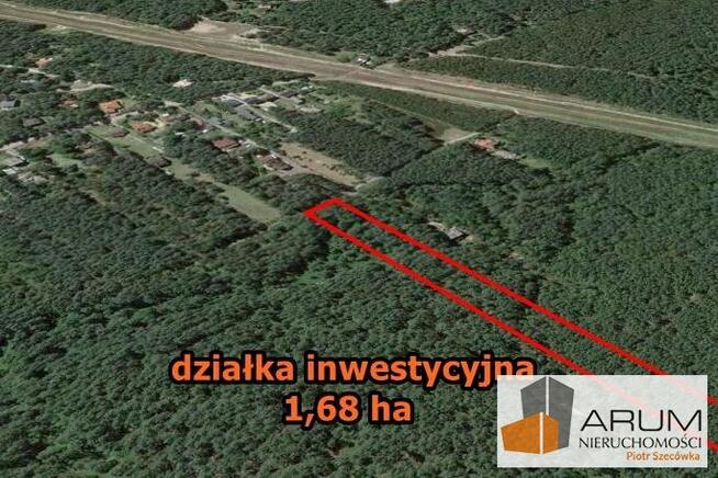 Działka leśna Wysoka Lelowska gm. Żarki