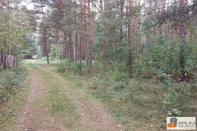 Działka leśna Wysoka Lelowska gm. Żarki