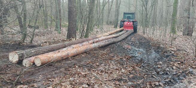 Wycinka drzew, wycinanie, rębakowanie, koszenie, czyszczenie