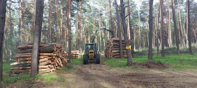 Wycinka drzew, wycinanie, rębakowanie, koszenie, czyszczenie