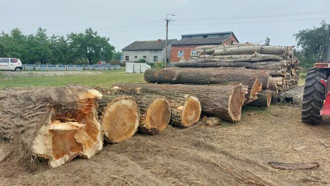 Wycinka drzew, wycinanie, rębakowanie, koszenie, czyszczenie