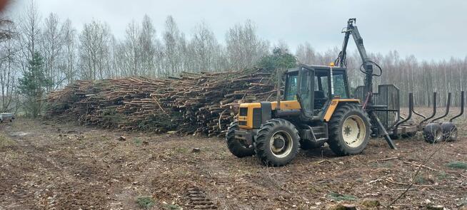 Wycinka drzew, wycinanie, rębakowanie, koszenie, czyszczenie