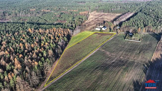 Działka gruntu, Teresina gm. Krzymów