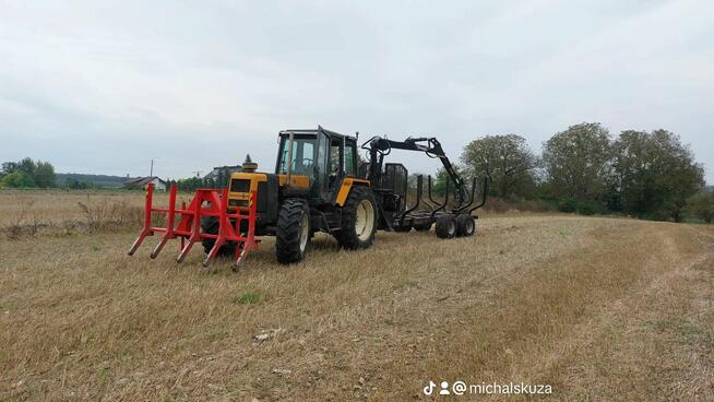 Wycinka drzew, wycinanie, rębakowanie, koszenie, czyszczenie