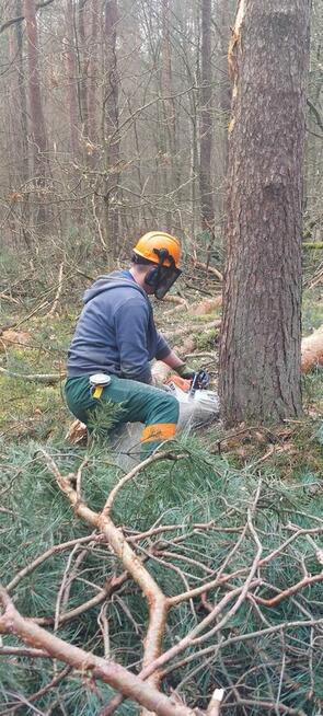 Wycinka drzew, wycinanie, rębakowanie, koszenie, czyszczenie
