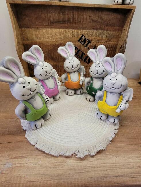 króliczek dziewczynka zajączek