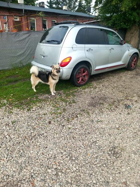 Sprzedam samochód chryster pt cruiser