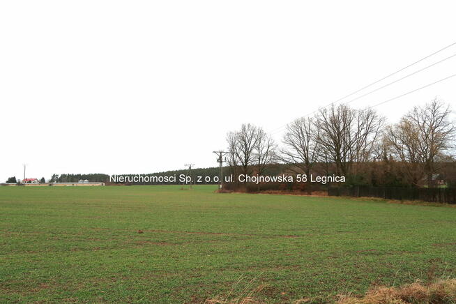 DZIAŁKA INWESTYCYJNA DLA DEWELOPERÓW 2,6Ha - GŁUCHOWICE