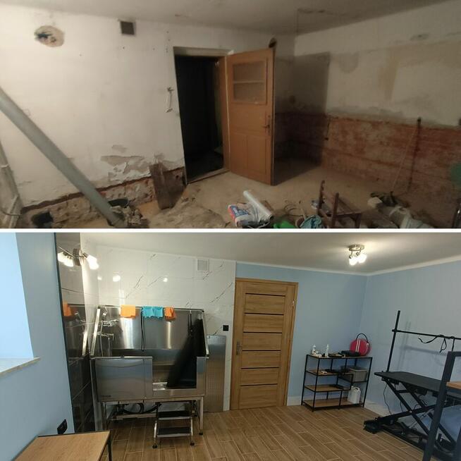 Serwis domów i ogrodów wykończenia budowlanka, ogrody