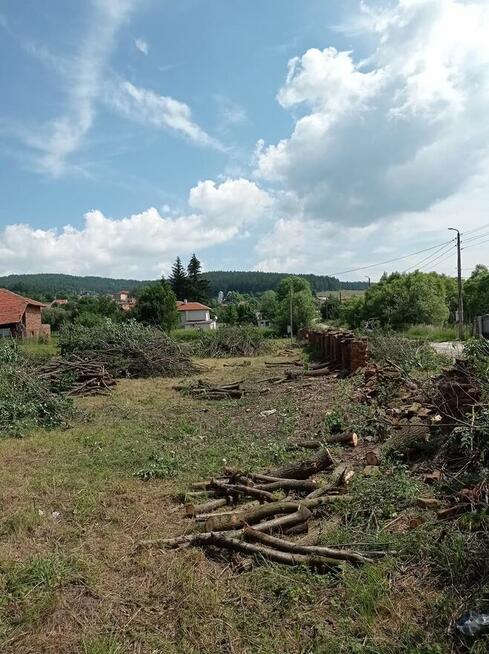 wycinka i pielęgnacja drzew oraz prace ogrodnicze