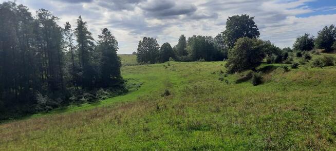 Mazury 15km do Ełku z dostępem 60m linii brzegowej