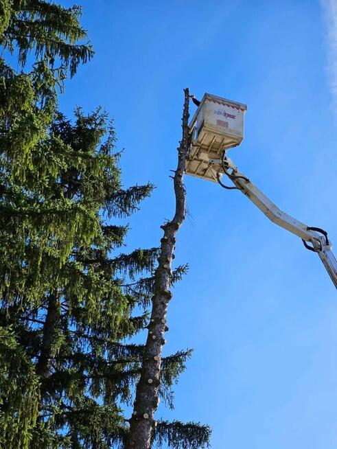 Serwis domów i ogrodów wykończenia budowlanka, ogrody