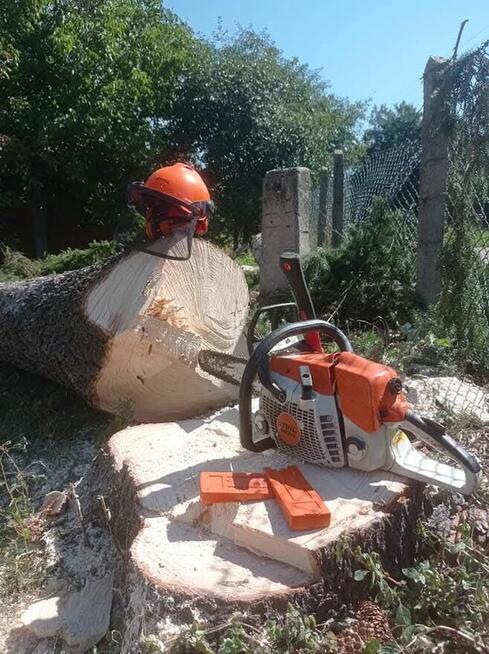 wycinka i pielęgnacja drzew oraz prace ogrodnicze