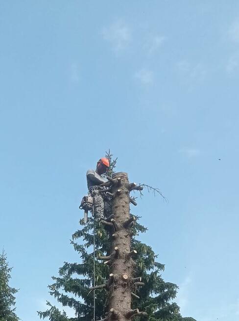 Serwis domów i ogrodów wykończenia budowlanka, ogrody