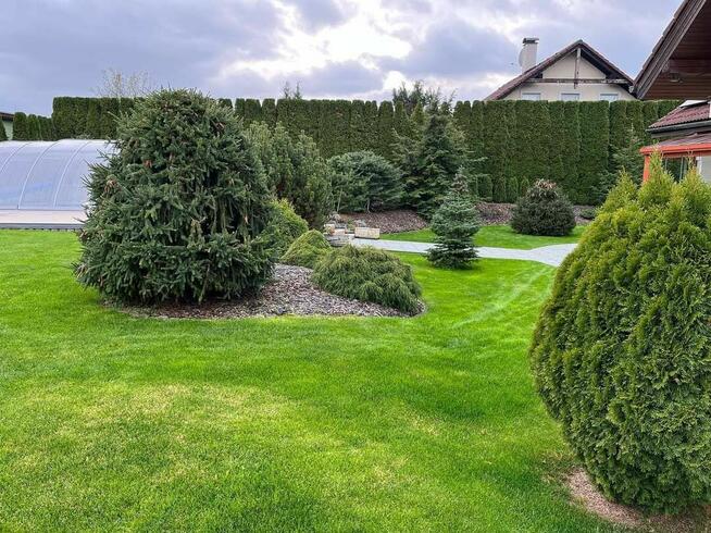 wycinka i pielęgnacja drzew oraz prace ogrodnicze