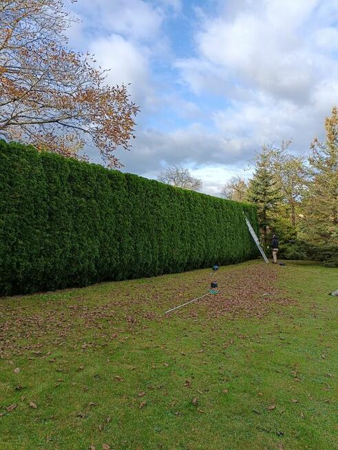 Serwis domów i ogrodów wykończenia budowlanka, ogrody