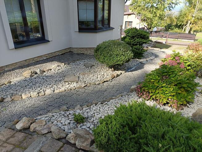 wycinka i pielęgnacja drzew oraz prace ogrodnicze