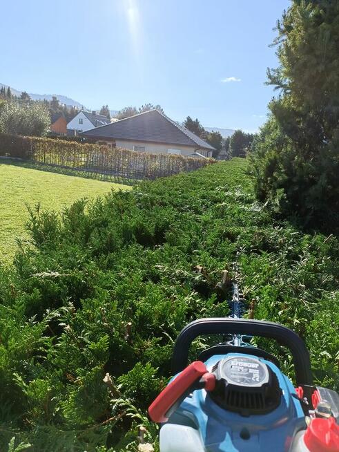 wycinka i pielęgnacja drzew oraz prace ogrodnicze