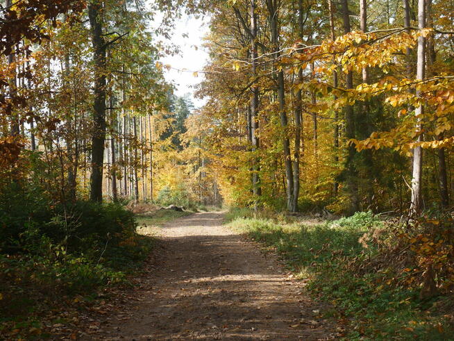 Aparat bezusterkowy Panasonic G7 z dodatkowym akumulatorem