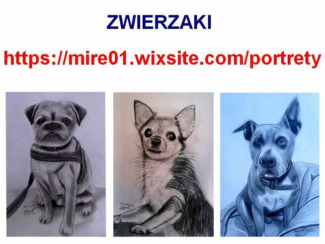 PORTRETY na zamówienie z twojego zdjęcia.