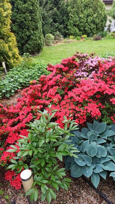 Na sprzedaż piękny dom wolnostojący w doskonałej lokalizacji