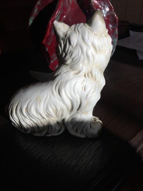 Sprzedam pieska z porcelany