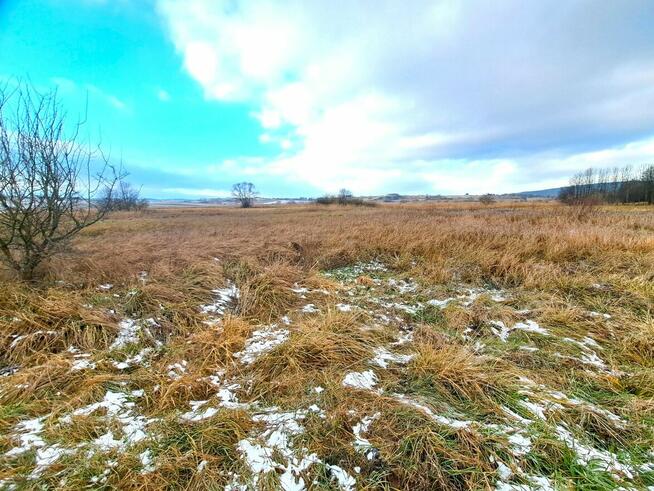 Dwie działki pod zabudowę jednorodzinną 46,16 ar Markowce