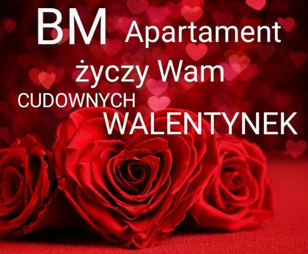 Apartament SPA jacuzzi sauna